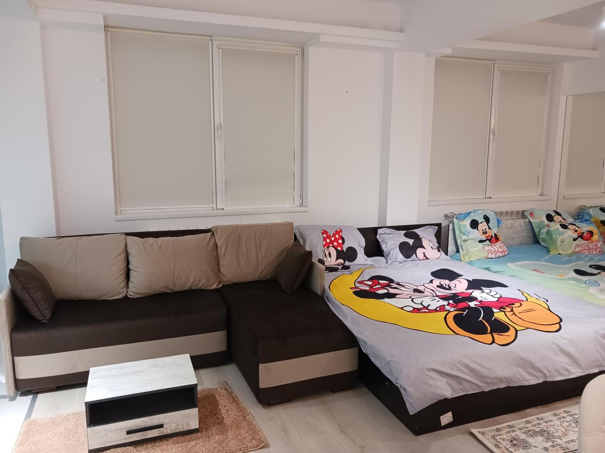 Apartamento Myky Mouse Nu Primesc Santieristi Si Petrecareti Bucarest Exterior foto